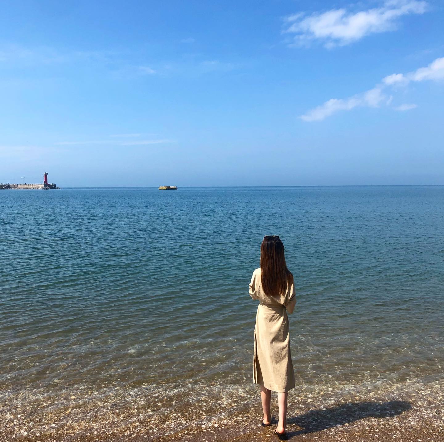 #태안