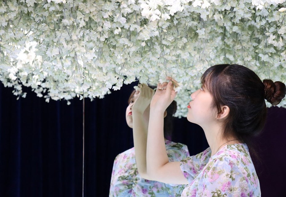 *:.｡..｡.:* ﾟ:*:✼✿✼:*ﾟ:.｡..｡.:*