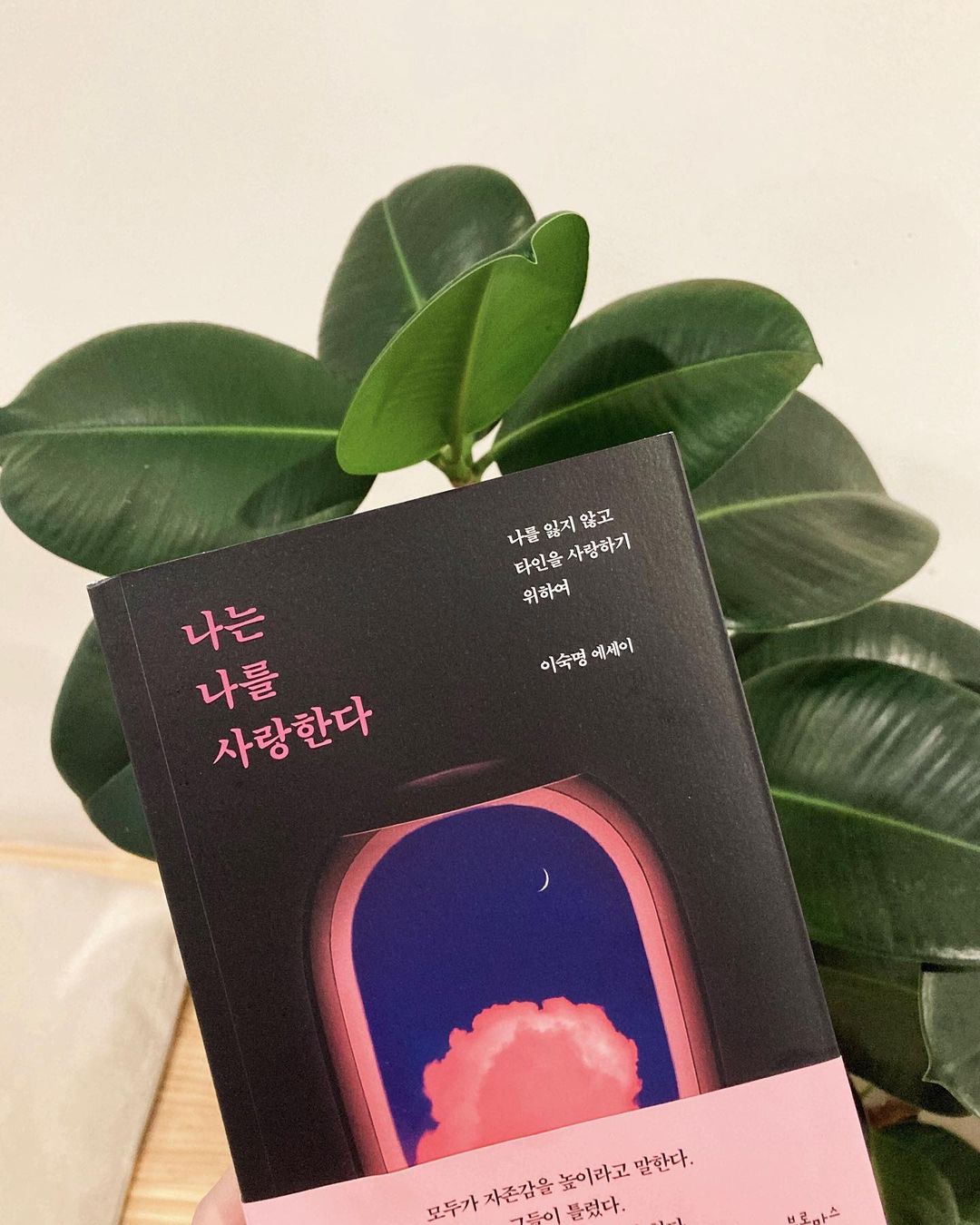 문선아 on Instagram: “#광고지만추천 #이제품은무상으로제공받아작성되었습니다 이명숙 자