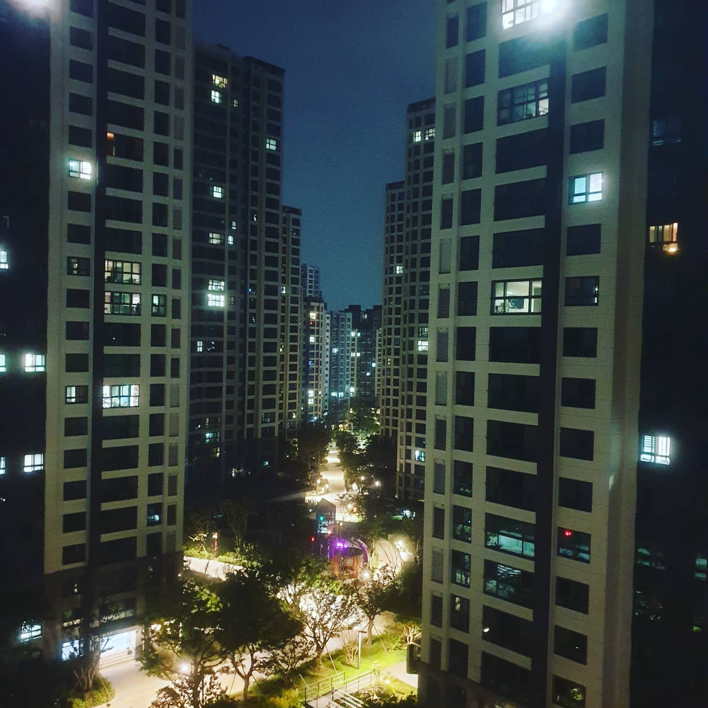 🌙