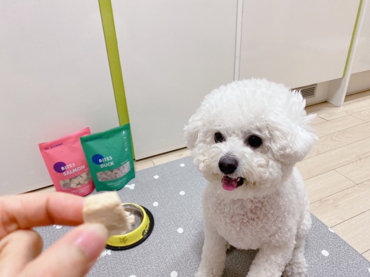 강아지 간식 :: 기호성, 건강에 최고 닥터맘마 동결건조간식 추천 !!