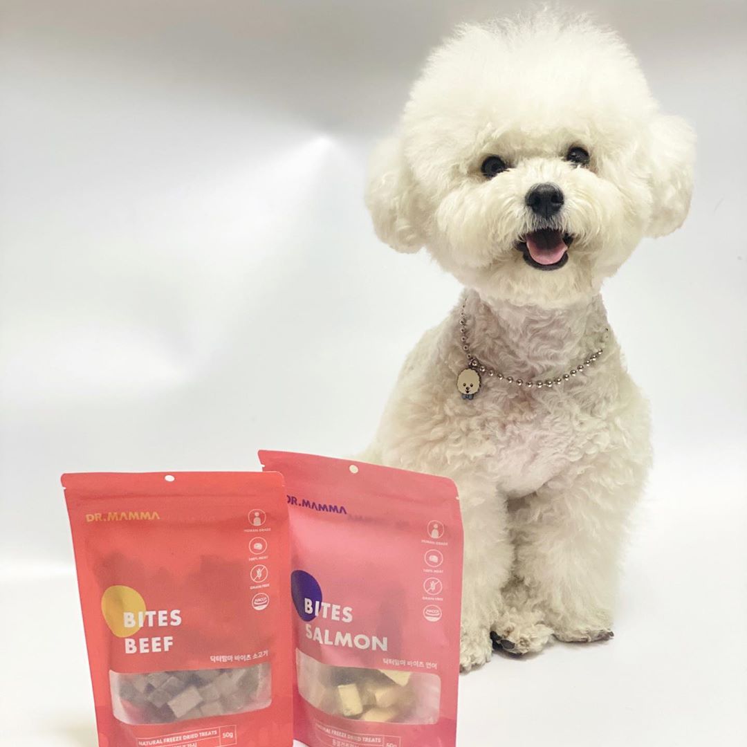안녕 ! 난 콩블리야 ▼・ᴥ・▼ on Instagram: “- 앗싸 ୧( “̮ )୨ 간만에 맛깔나는 간식 찾았지롱 ! 😎 동결건조라서 장기간 보관도 가능하고, 큐브형식으로 먹기