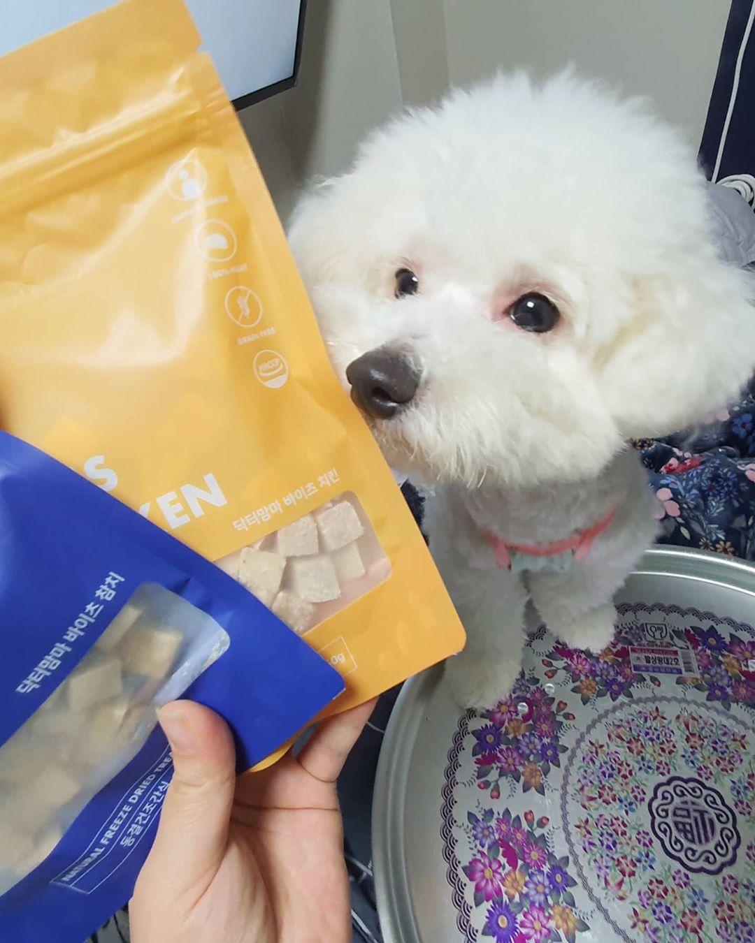 Mont🥰BLanc on Instagram: “닥터맘마 동결건조간식 리뷰!!🤫🤫 . . 요즘 날씨도 덥고 유통기한이 긴 동결건조 간식을 찾게 되더라구요 그래서 먹여보게 된 닥터맘마 간식!!🥰🥰 . 닥터맘마 동
