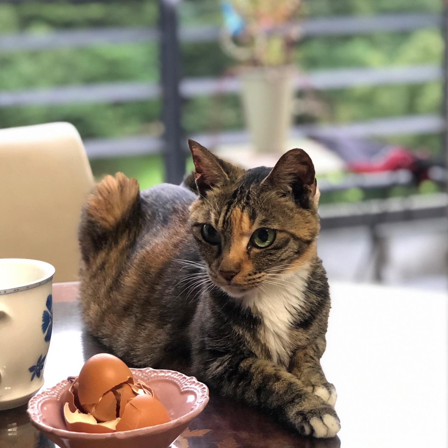 콘텐츠