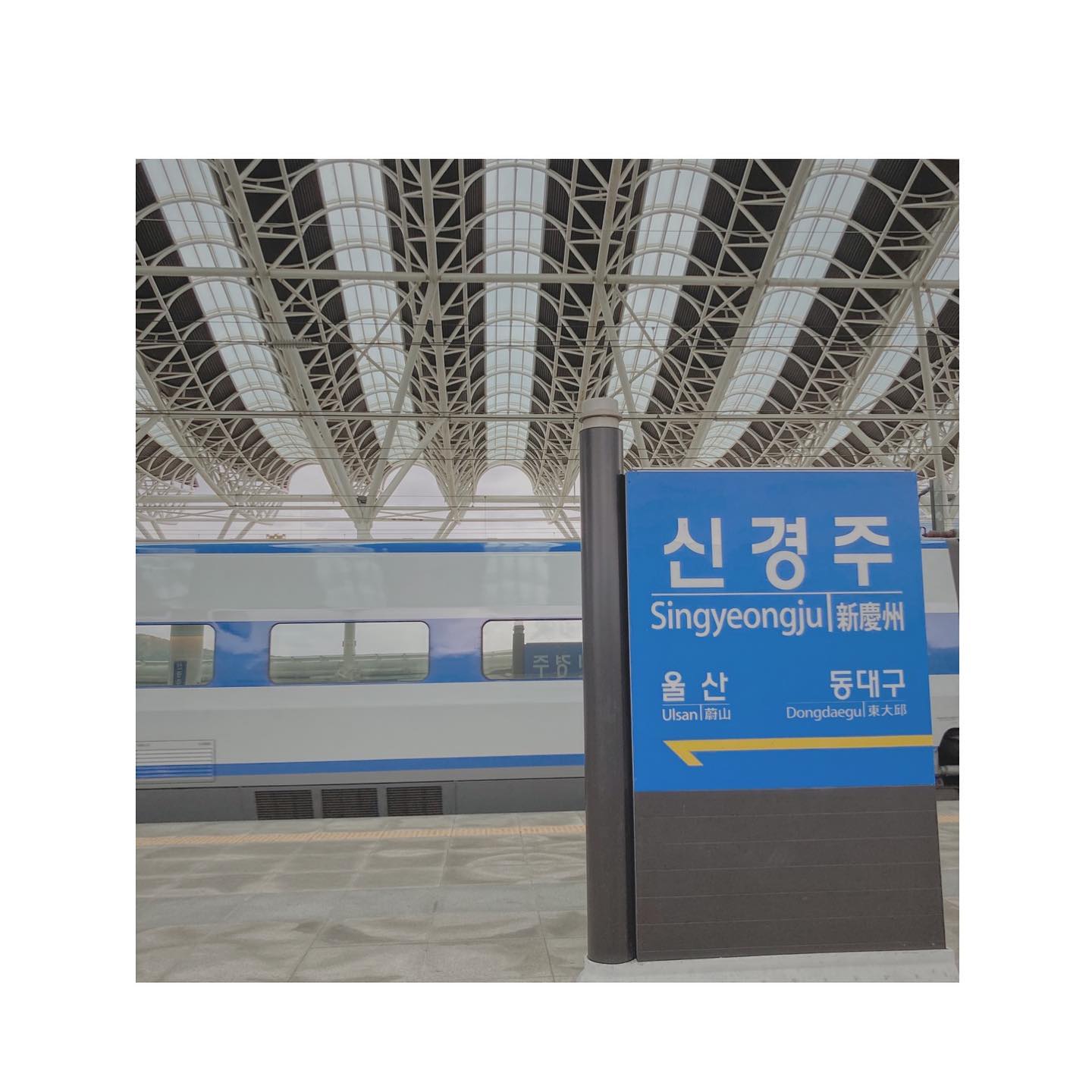 Singyeongiu Station🚈