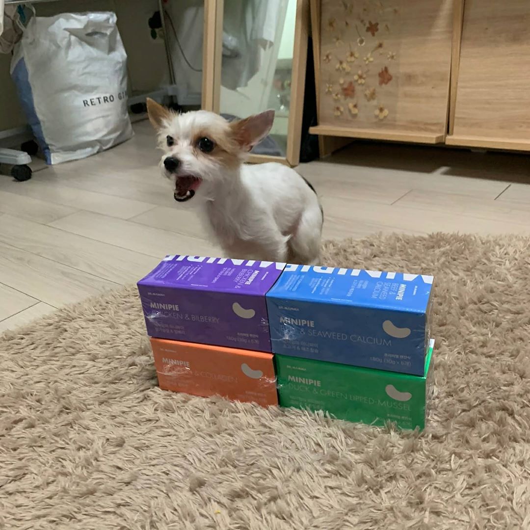 @kimhama_0422 shared a photo on Instagram: “김하마 특식🐶💕 @dr_mamma_official . . . #닥터맘마 #닥터맘마리뷰 #닥터맘마간식 #강아지간식 #애견간식 #강아지캔 #강아지습식 #강아지특식 #협찬” • Jul 30
