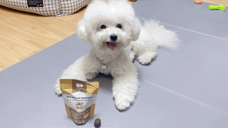 [Gaazayo Pet] 강아지 영양제 추천 <관절영양제/멀티비타민>
