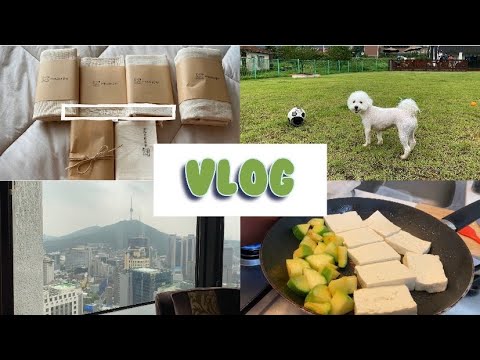 자취브이로그 | 제로웨이스트 실천하기 (아라크네공방), 다이어트식단 (한둘 두부), 롯데호텔 도림, 덕선이 첫 강아지수영장 실패