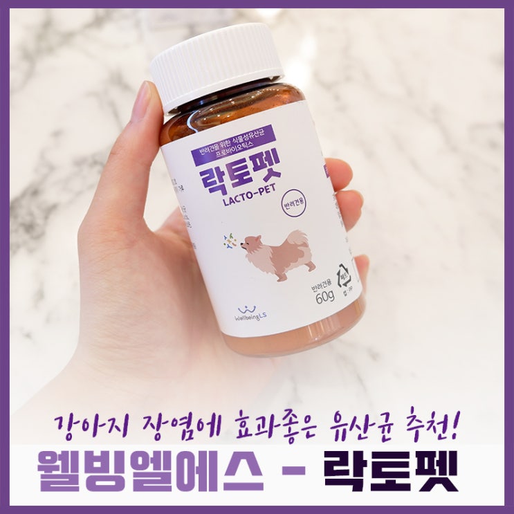 [웰빙엘에스 - 락토펫] 강아지 설사에 도움되는 식물성 유산균 급여 후기!