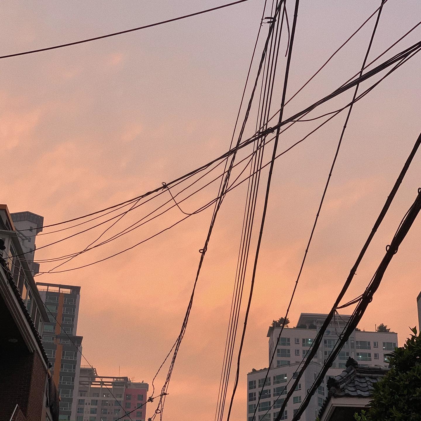 흐린날 꺼내보는 몽글몽글 하늘☁️☀️
.
.
#유어센 #유어센마켓 #일상 #일상이야기 #데일리 #데일리룩 #빈티지가디건 #하늘 #구름