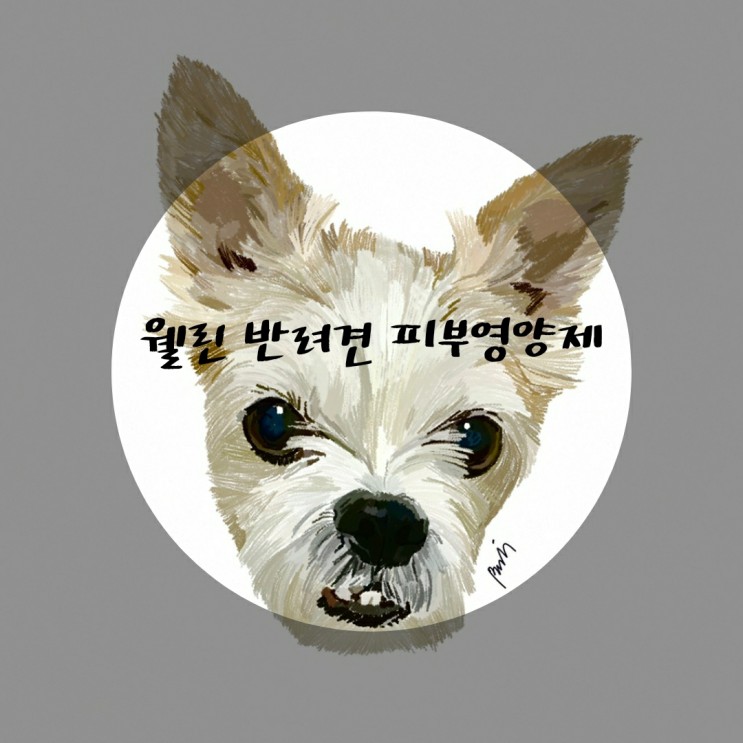 습진,알러지 피부 강아지 영양제 웰린피부영양제 추천