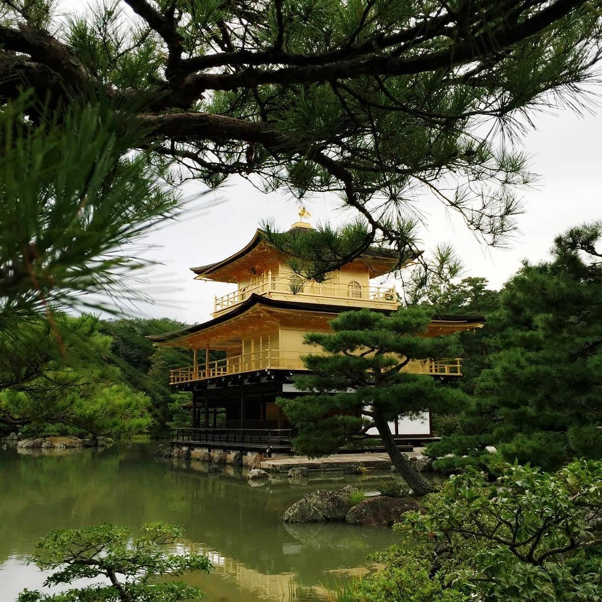 서늘하고 청명했던 날의 교토. 
혐한과 코로나19때문에 당분간 꿈도 못꾸겠지..슬프다.