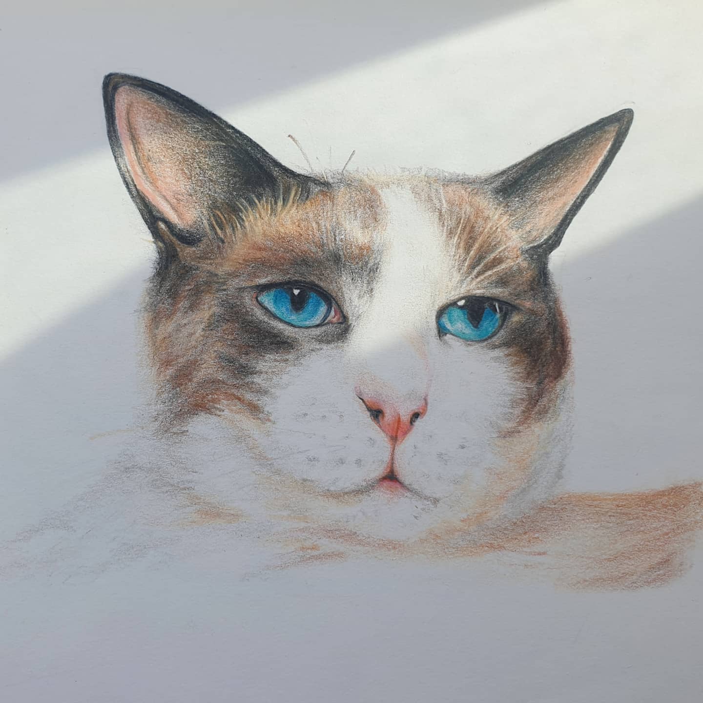 집에서 느긋하게 🐱🎨

 #오늘의그림 #drawingdaily #고양이 #cat #그림 #그림계정 #드로잉 #drawing #일러스트 #일러스트레이션 #illustration #illustration_daily #색연필일러스트 #colorpencil #맞팔 #선팔 #맞팔선팔환영 #fff #f4f