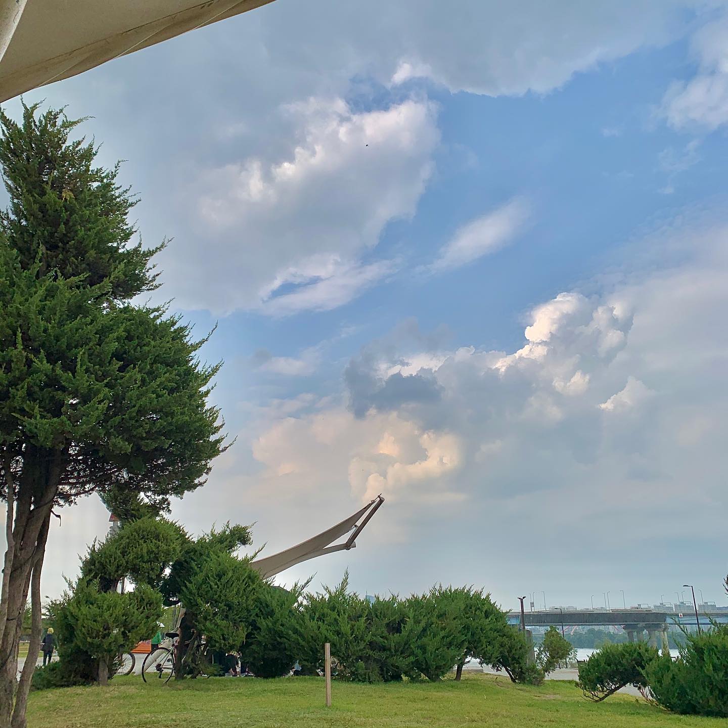 🙇🏻‍♀️🎁다들 한가위 잘보내세요🎁🙇🏻‍♀️
.

💚🏞💚오늘은 한강에서 루미큐브&우노🤨
종종 만나는 🇮🇪☘️ 모임! 
항상 만나면 (어제 무슨일이 있었더라도 
금세 까먹어버리고) 근심걱정 없이 
웃다가 하루를 보내며 즐거운 맘으로 집에 도착! 😆
나 할모니가 되어도 
노인문화센터 같이 다녀쥴꺼지?😛

.
.
.
.
.
. 
#한강 #love #ireland #여의도 #구름맛집 #좋반 #selfie #데일리 #좋아요반사 #interior #home  #일상 #소통 #좋아요#fashion#셀카#인테리어#가을#여행#cafe#패션#데일리룩#셀스타그램#쇼핑#마켓 #카페 #오오티디#ootd #데일리 #daily #fashion#셀카 #코디