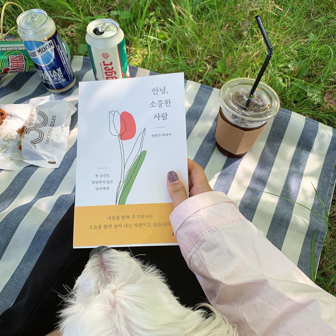 🌷꽃세영 on Instagram: “🌷 처음에는 책표지가 마음에 들어서 두 번째는 책의 제목이 좋아서 ᄆ