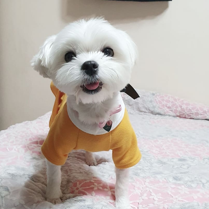 인태기 극복이 넘나 힘들어요오...😂😂 돌아올게요😭