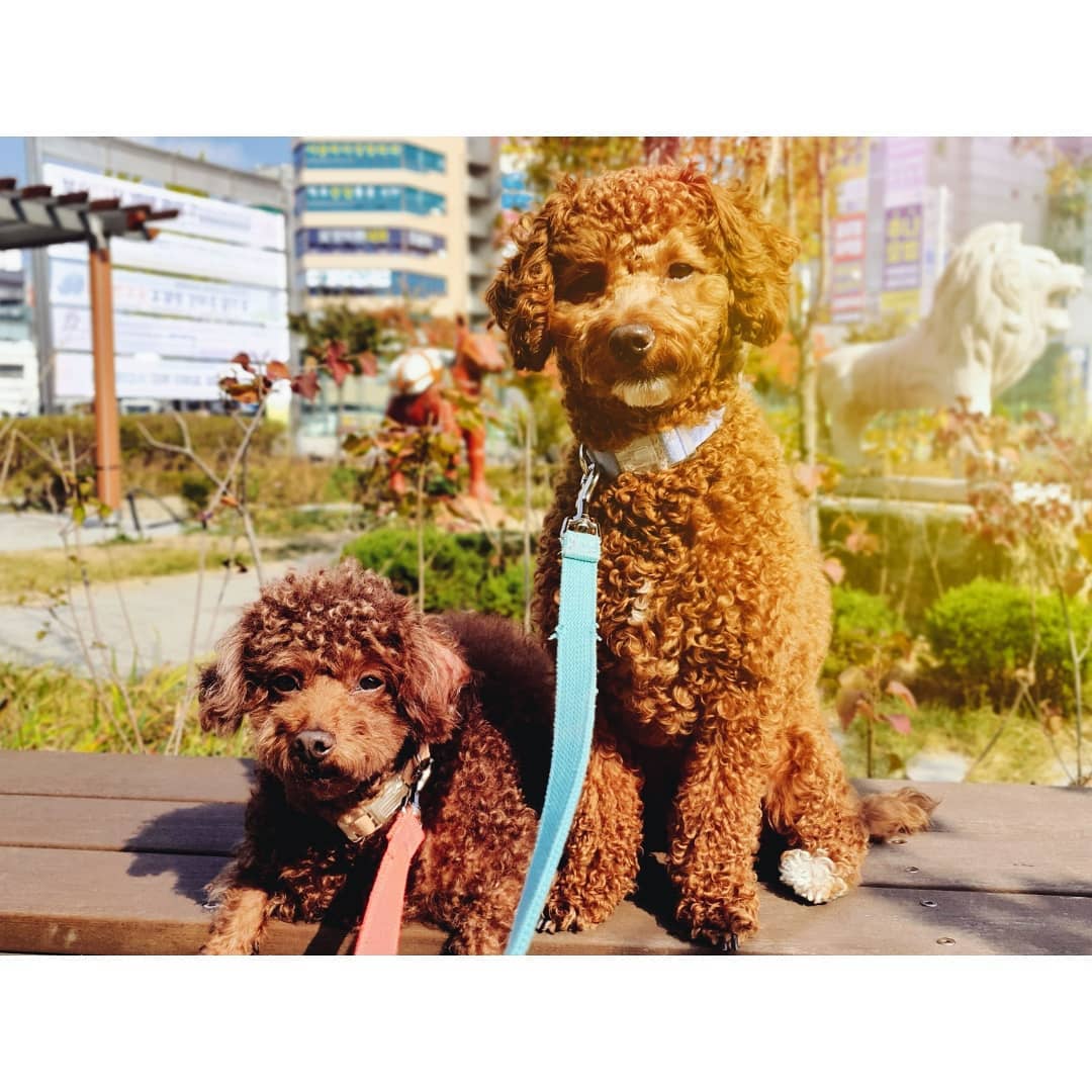 너희들 표정이 왜 그러니..?