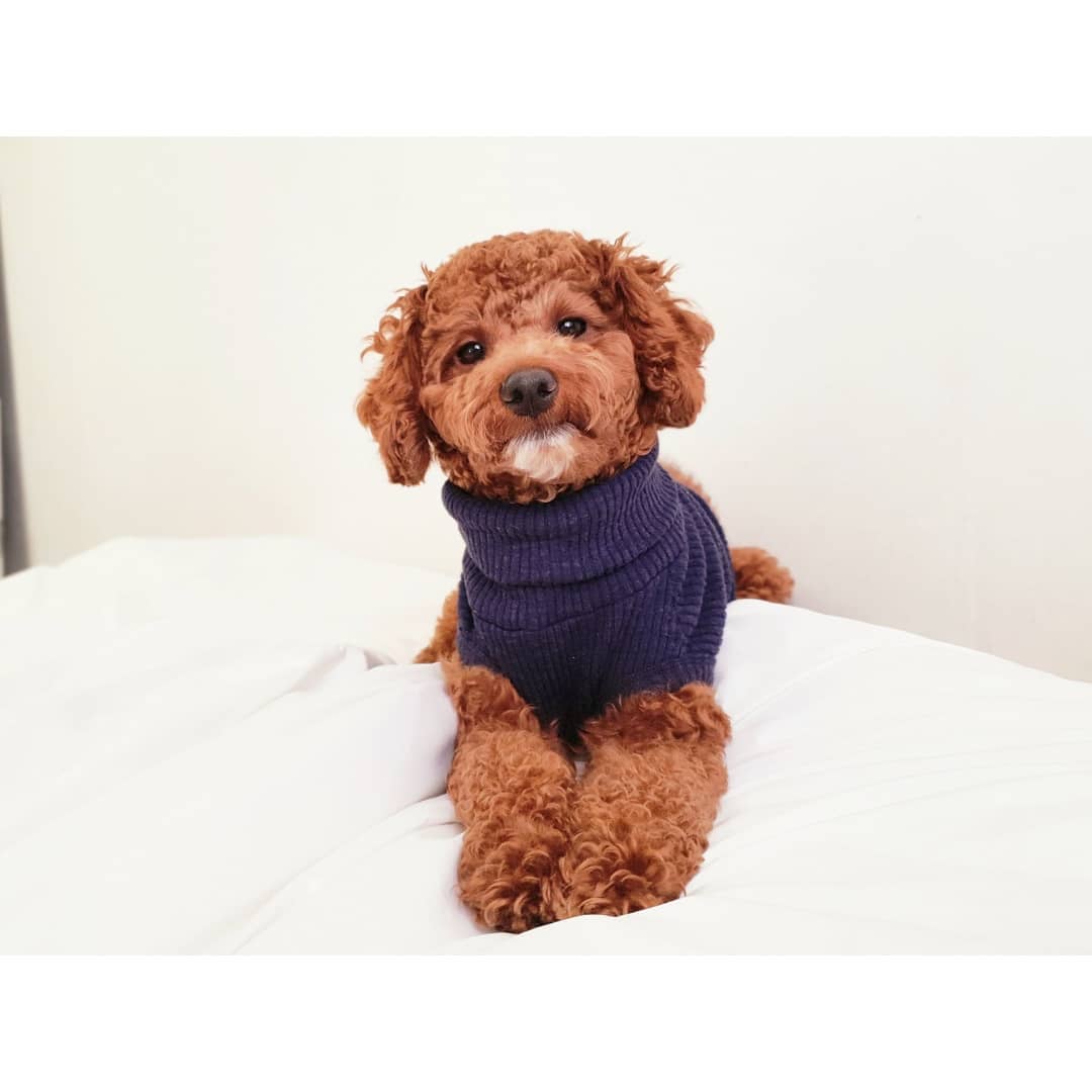 옷이 그냥 찰떡😍