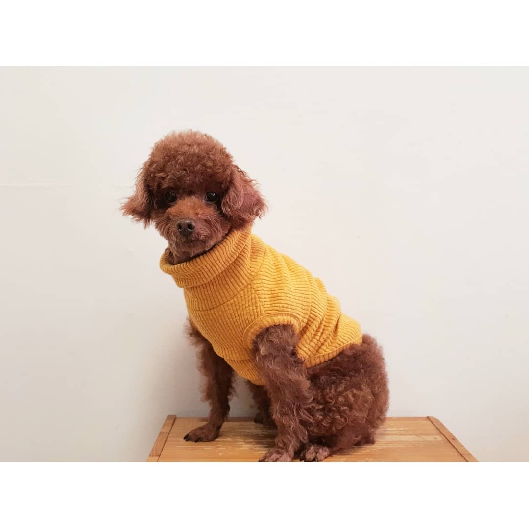 귀요미 내새끼♡
