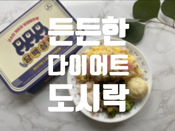 [ 담백상회 ] 든든한 다이어트 도시락 찾으신다면 바로 이곳!