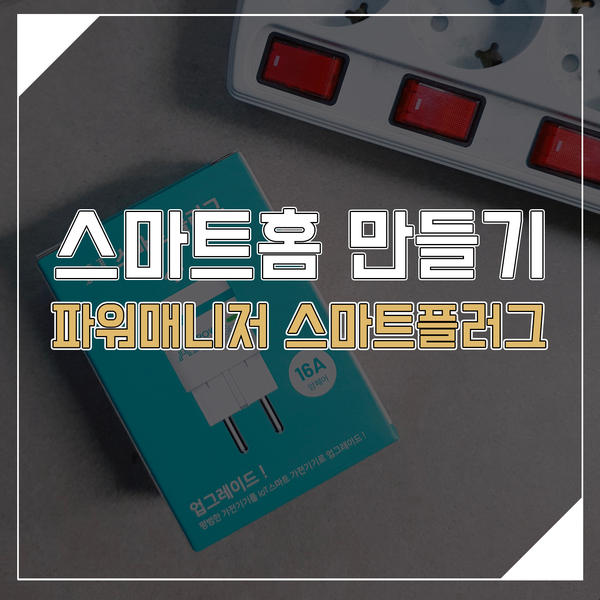 스마트홈 만들기, 다원디엔에스 파워매니저 스마트플러그
