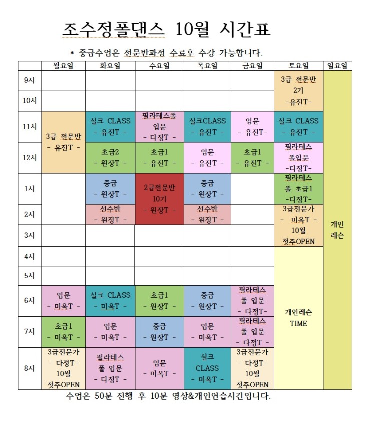 조수정 폴댄스 체험기