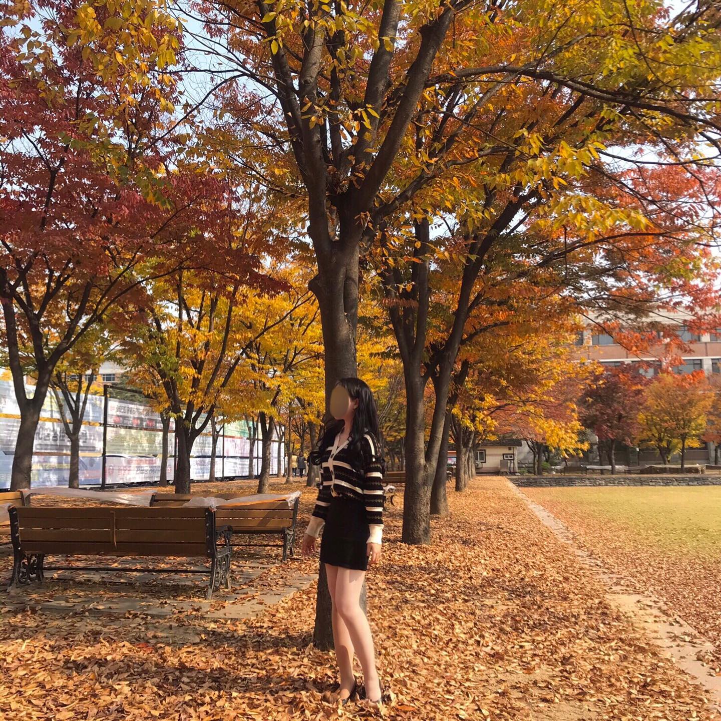 가을이당 . 🍂🍂

-
.🍁_ Photo by 주원🐿