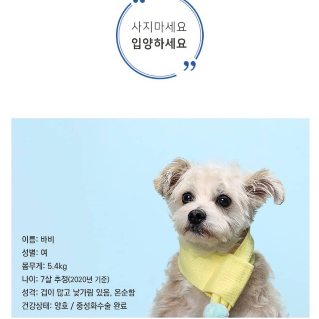 [사지 마세요. 입양하세요] -1

사람으로 인해 상처 받은 아이들이 사람으로부터의 따뜻한 사랑을 받고자 간절히 기다리고 있습니다.

이 아이들에게 따뜻한 사랑으로 보듬어 주실 가족분들을 찾습니다.

비록 저도 기업 프로젝트 사진을 캡쳐해온 것이긴 하지만...
이 아이들이 가족을 찾을 수 있게 해당 사진들을 많이 공유해주세요. 
부탁드립니다.

kawa.on canonkorea
kara_thebom

#2020캐논반려동물입양프로젝트 #오늘부터행복하개 #사지말고입양하세요 #동물자유연대 #동물자유연대온센터 #동물권행동카라 #동물권행동카라더봄센터 #동물보호 #유기동물입양 #따뜻한가족이되어주세요 #이사진들많이공유해주세요