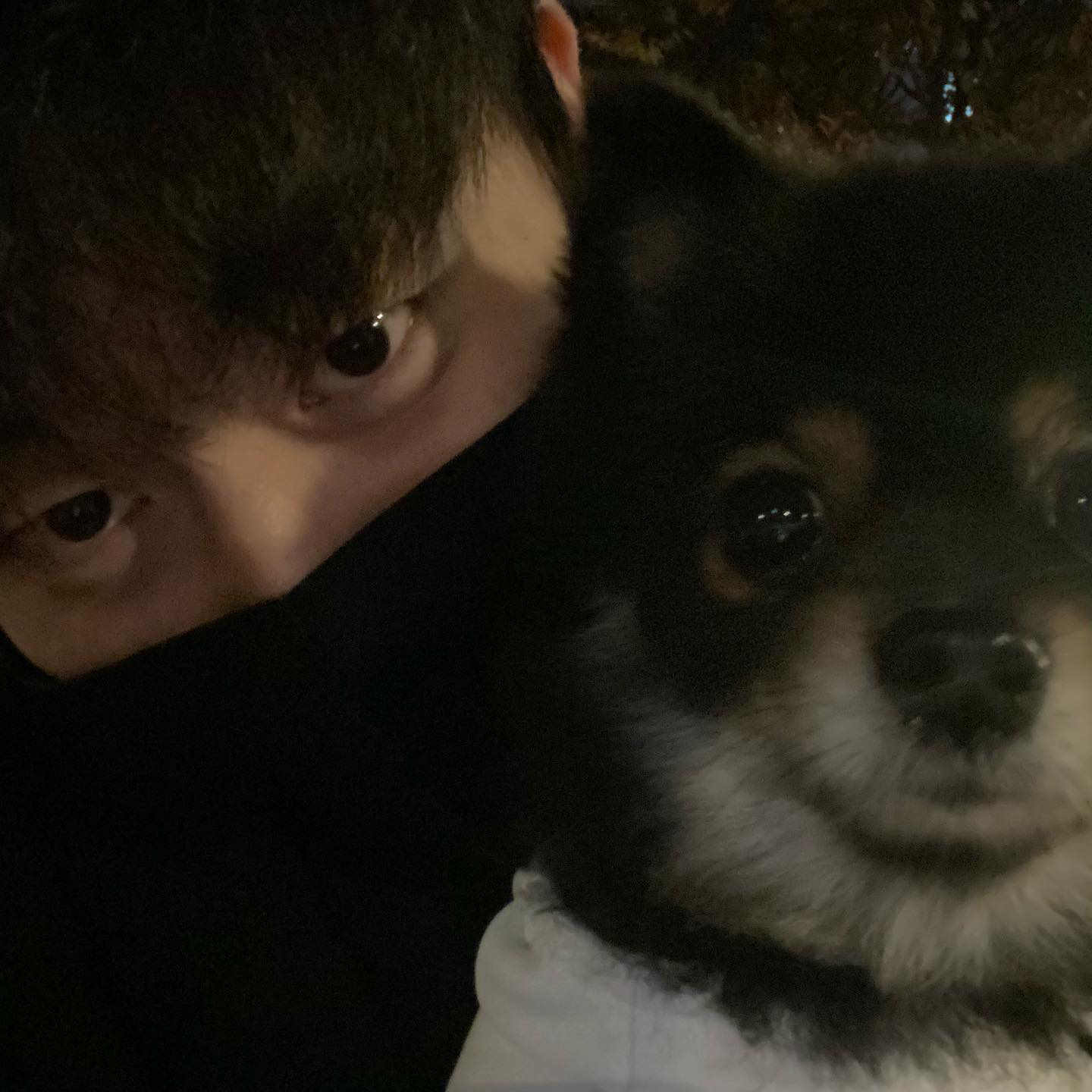 사랑스런 탄이 ❣️