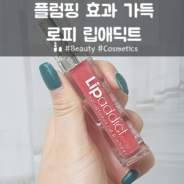 플럼핑효과 가득 지금 이시즌에 딱!  립애딕트 lipaddict
