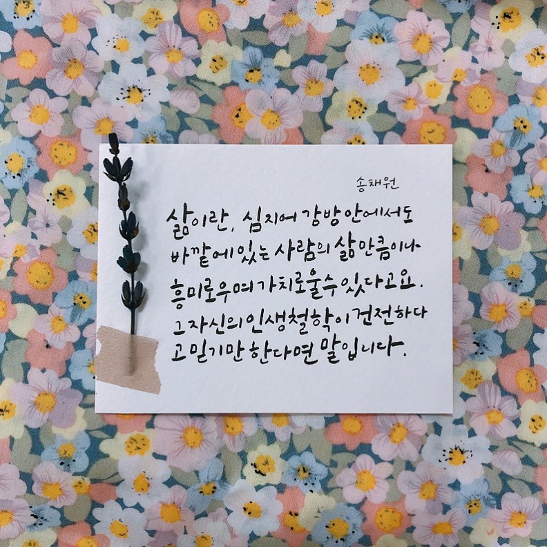 #내가왜계속살아야합니까