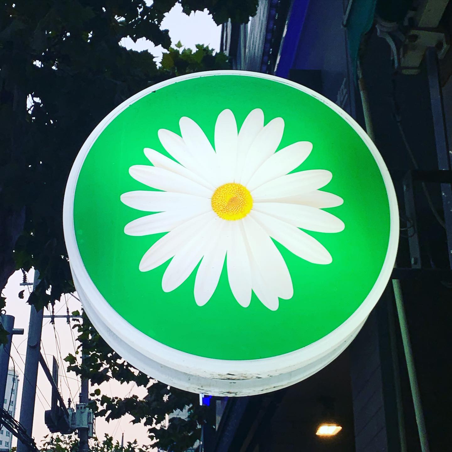 콘텐츠