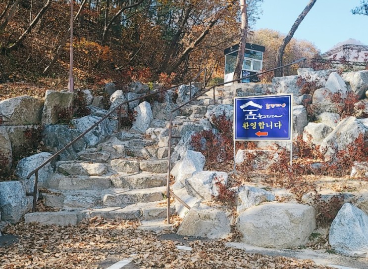 [여주맛집추천] 지중해식 이탈리안 레스토랑 몬테쿠치나/여주레스토랑