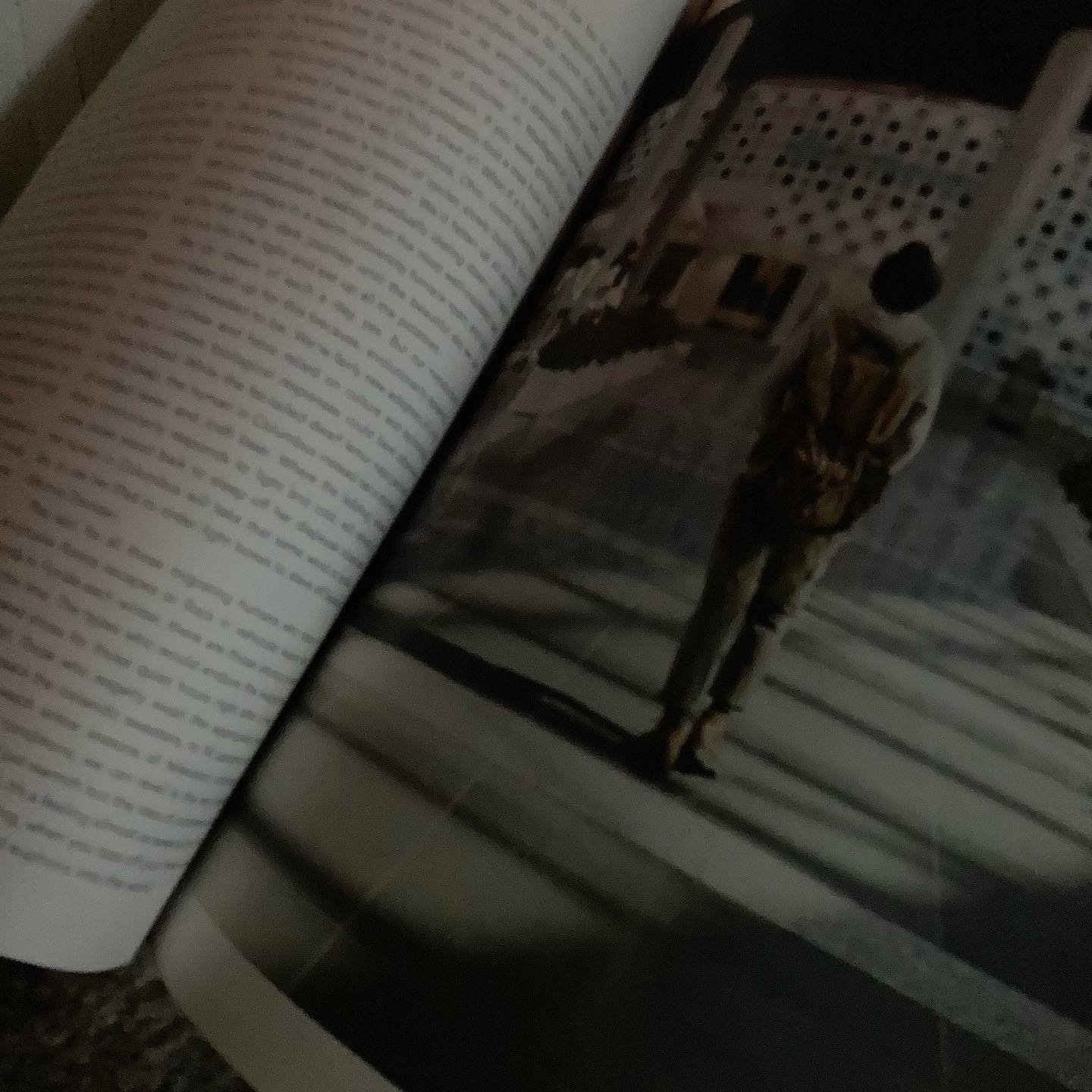 📖