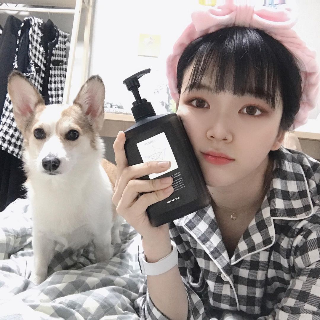 김아람 on Instagram: “#광고 #협찬 시그니처 퍼퓸의 향을 그대로 담은 #포맨트 #코튼허그 바디로션 🌹⠀ ⠀ 끈적이는게 싫어서 바디로션 안 바른지 362528년 됐는데 끈적임 1도 없이 촉촉함 🤩⠀ ⠀ 우리집 서열 0위께서도 인정하셨다.⠀ ⠀ #forment #바디로션…”
