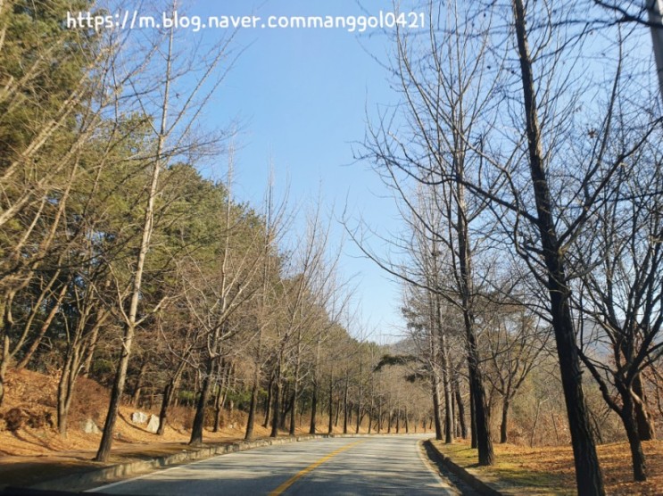 (여주) 숲을 그리다 테마파크 이탈리아 레스토랑 몬테쿠치나 & Forest 카페 / 여주 맛집 레스토랑