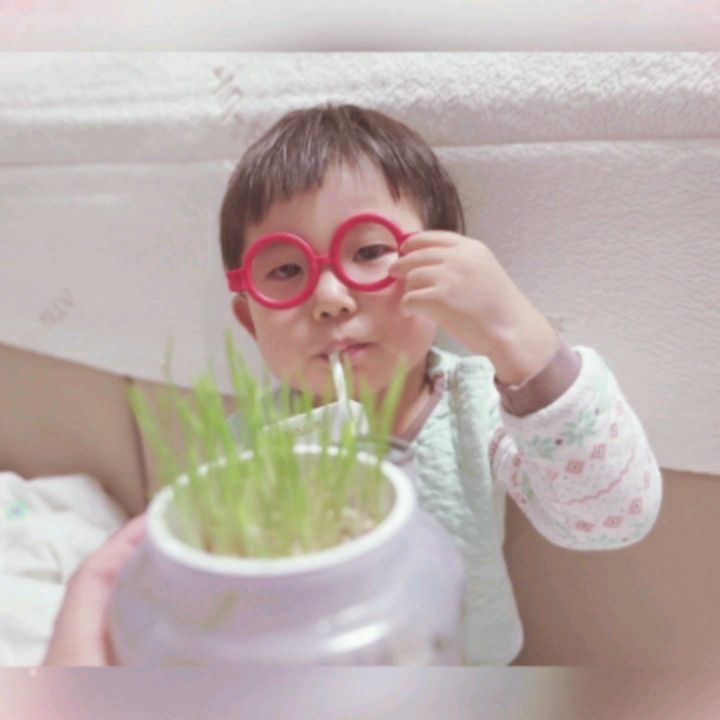 #협찬 🌱🌱🌱

#알루하 #체험학습 #새싹보리키우기 #식물기르기

코로나 때문에 밖에 못나가는 요즘
키우기 쉽고 재밌게 식물 기를수 있는 새싹보리킷 선물이 범이에게 도착했어요🤗
 
🧐식물학자로 변신해 매일매일 애정을 갖고 잘 키우고 있답니다. 💕

새싹보리 말고 일반식물도 가능하며 물관리가 필요 없고 저면 관수 화분으로 냄새도 안나고 좋네요👍
 
식물체험으로 아이 정서발달에도 좋고 유치원교구나 초등학교 저학년 식물체험실습에 사용하기 좋을 것 같네요.🥰

https://smartstore.naver.com/withdream