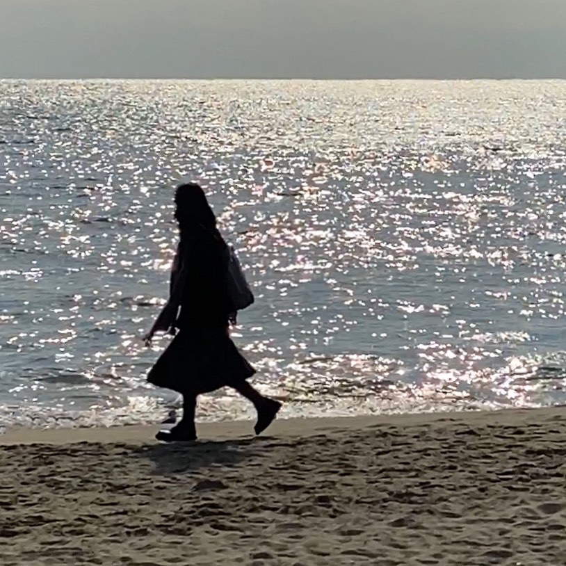 체고야