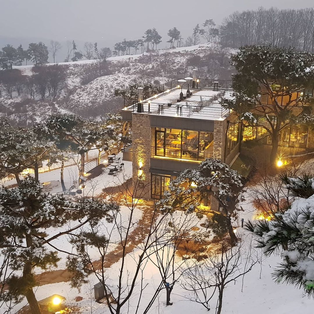 노블 on Instagram: “작년에 다녀온 해돋이 사진 📷 원주에서 가장 아름다운 #일출맛집 #사니다카페 바람의 언덕 정상으로 가면 잊을 수 없는 일출을 만나볼 수 있는데 야외에 테라스, 루프탑, 자작나무길, 바람의 언덕 등 다양한 야외공간에서 해돋이를 구경할 수…”