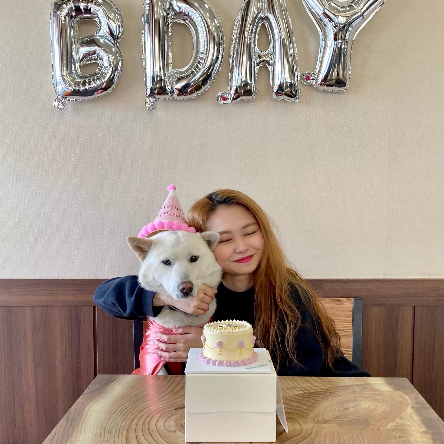 오늘 우리 해병 공주님 세번째 생일❤️🥳 언니 친구들한테 인기많은 해비╰(*´︶`*)╯♡
파티 참석하고 싶어하던 친구들아 코로나 없는 내년엔 함께하쟈🥰
*외부인원 없이 주민등록등본상 거주지 같은 가족 3명 참석, 저희 강아지 사는 주변 공간입니다. 
.
.
.
#솔쨩의일상