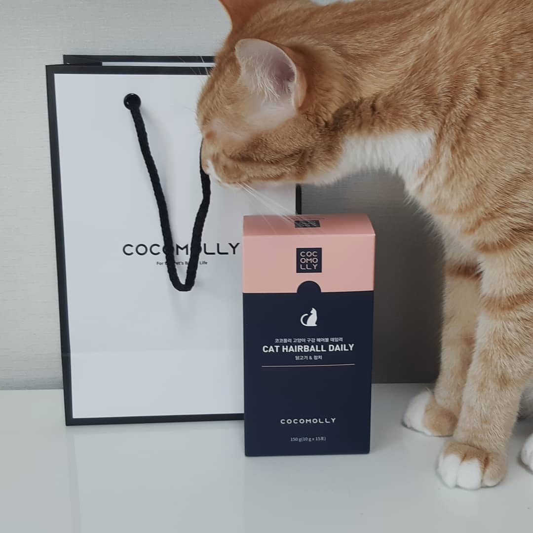 #협찬 cocomolly_official #코코몰리 #고양이간식
#냥그램
.
짜먹는 간식을 넘 좋아하는
울냥이에게 건강한 제품을
주기위해 고른 코코몰리💕
.
구강 헤어볼과 신장 요로
두가지가 있는데 요즘 헤어볼
고민이기도 하고 잇몸이 
애기때부터 안좋기도해서
구강 헤어볼로 먹이고있어요
.
입맛 까다로운 울냥이도 넘
맛있게 잘먹어주니 좋네요
성분도 믿을만해서 굿굿
.
#츄르 #헤어볼 #신장요로 #영양간식 #데일리 #고양이영양제 #집사스타그램 #냥스타그램