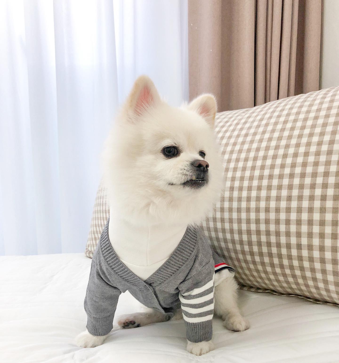 괜히 멋진 척이 하고 싶은 걸😎🤍
#멍브라운 #소개팅룩🐶
