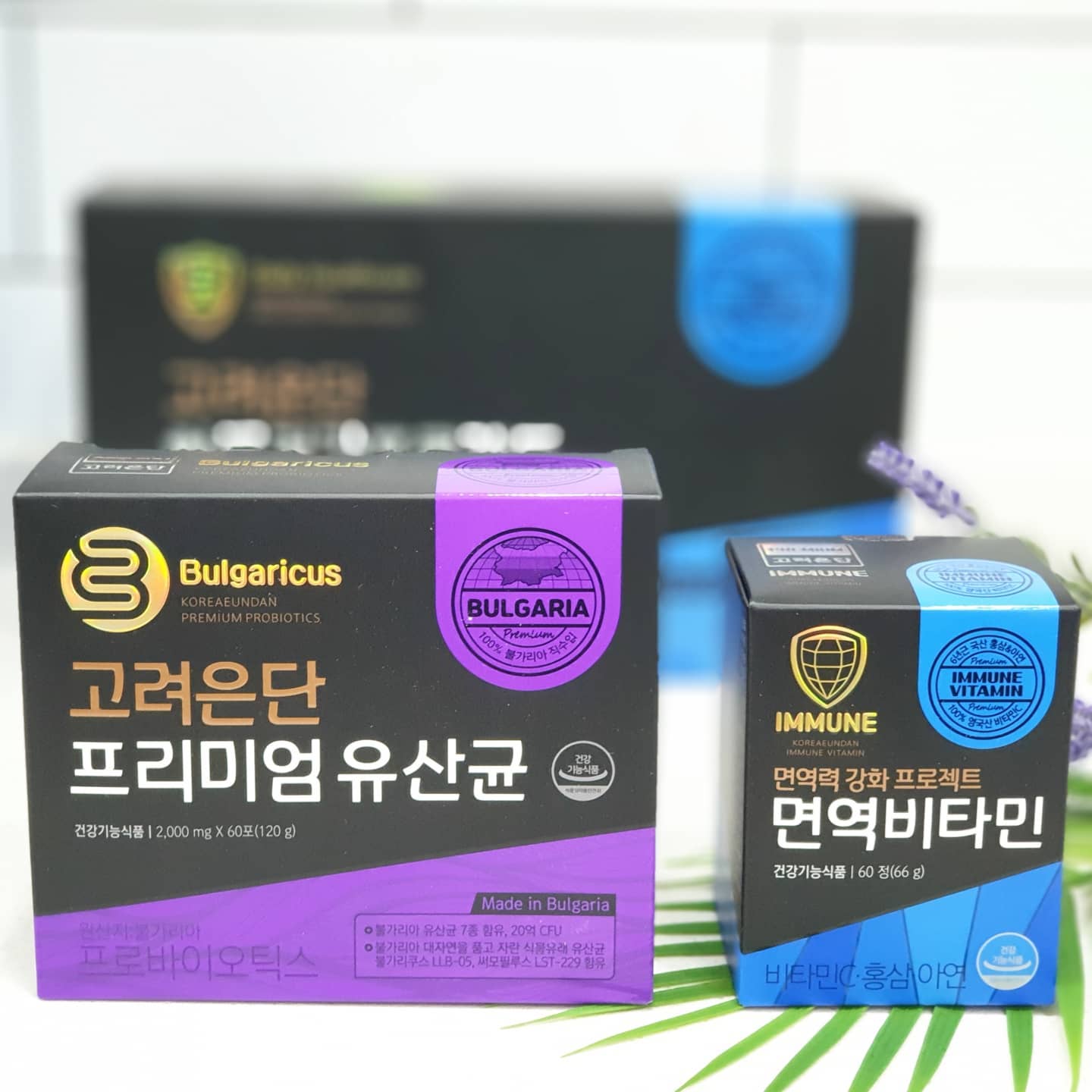 #광고

내가 먹어보고 좋은 건 뭐든지
선물하고픈 사람이 생각나요🙂

해가 바뀌고 #새해건강관리 신경쓰면서
#고려은단하루건강프로젝트 챙기기 시작했어요
#고려은단헬스케어 하면 #유재석비타민 으로
많이 알려져 있는데, 이번에 유산균과 면역비타민을
함께 챙겨보니 이것만 해도 충분하겠다 싶더라구요
#6년근국내산홍삼 #영국산비타민C 뿐만 아니라,
#캐나다산아연 까지 한 번에 챙길 수 있는 
#프리미엄면역비타민 은 따로따로 챙기지 않고 
한번에 챙길 수 있는 2중정이라 챙기기 수월해졌고,
#불가리쿠스 와 유산균먹이 신바이오틱스까지 담은
#고려프리미엄유산균 같이 챙기니 #하루건강프로젝트
너무 느낌이 좋더라구요. 먹어보고 좋으니 부모님이
생각나서 안그래도 #건강선물세트 염두해뒀는데,
#설날선물추천 올핸 #면역력강화프로젝트 4분 모두
보내드리기로 했네요. #설명절선물 #부모님설선물
아직 결정 못하셨으면 건강챙기는것도 좋을 것 같네요