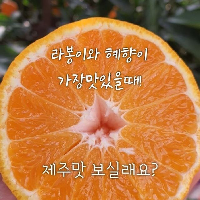  “#덕분에챌린지👍#마스크도패션 #코모드#올스티커#스페커#협찬 . 박스 개봉과 동시에 반응 최고!! 캐릭터, 그림, 문구 다양해서 좋다 나만의 마스크 제작도 가능 . 1학년 슬쩍 맛만 보고온 둘째 2학년때는 마스크 제작을 해줄까 . "안녕 나는…”