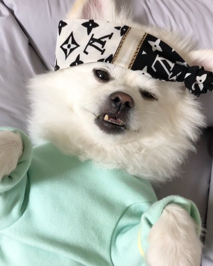 #고주멍태 🤪