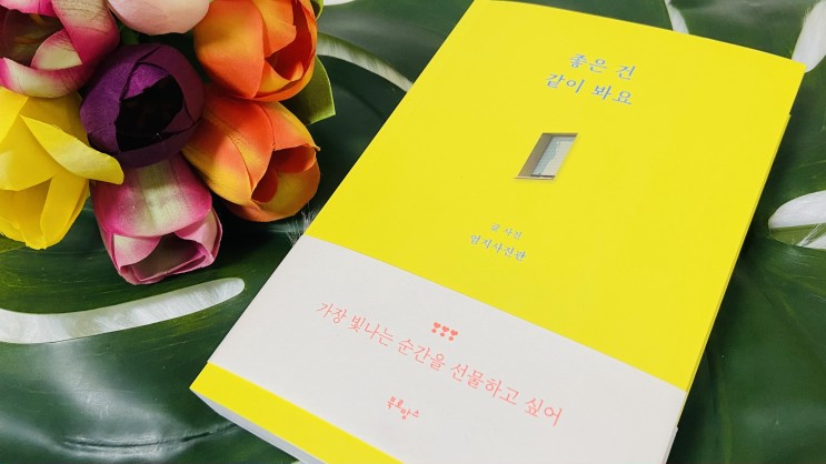 힐링되는 베스트셀러 에세이 추천 '좋은 건 같이 봐요'