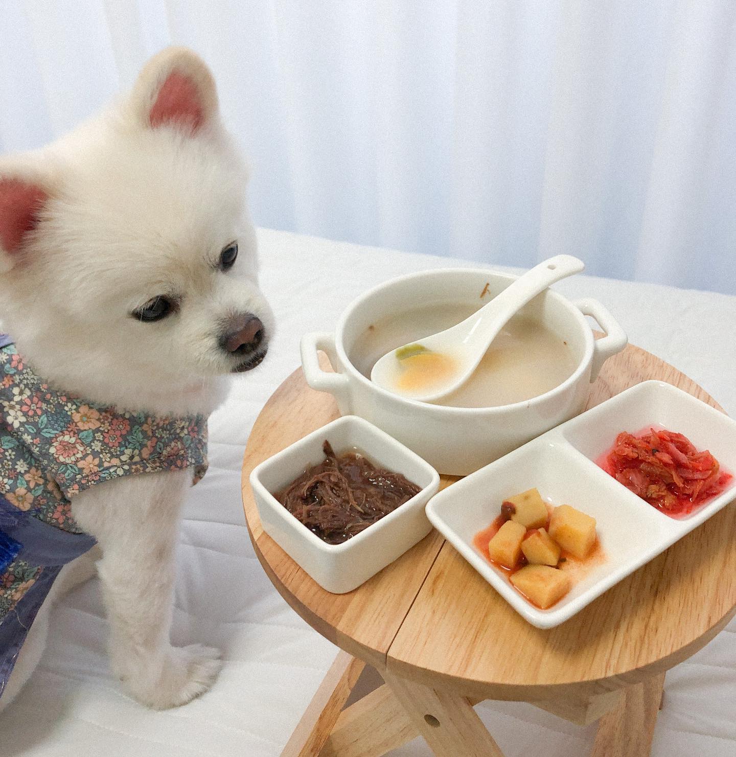 #강아지떡국 먹구 한 살 더 먹었어욤🐶🍲🤍 
(#댕조림 #댕두기 #댕추김치 )