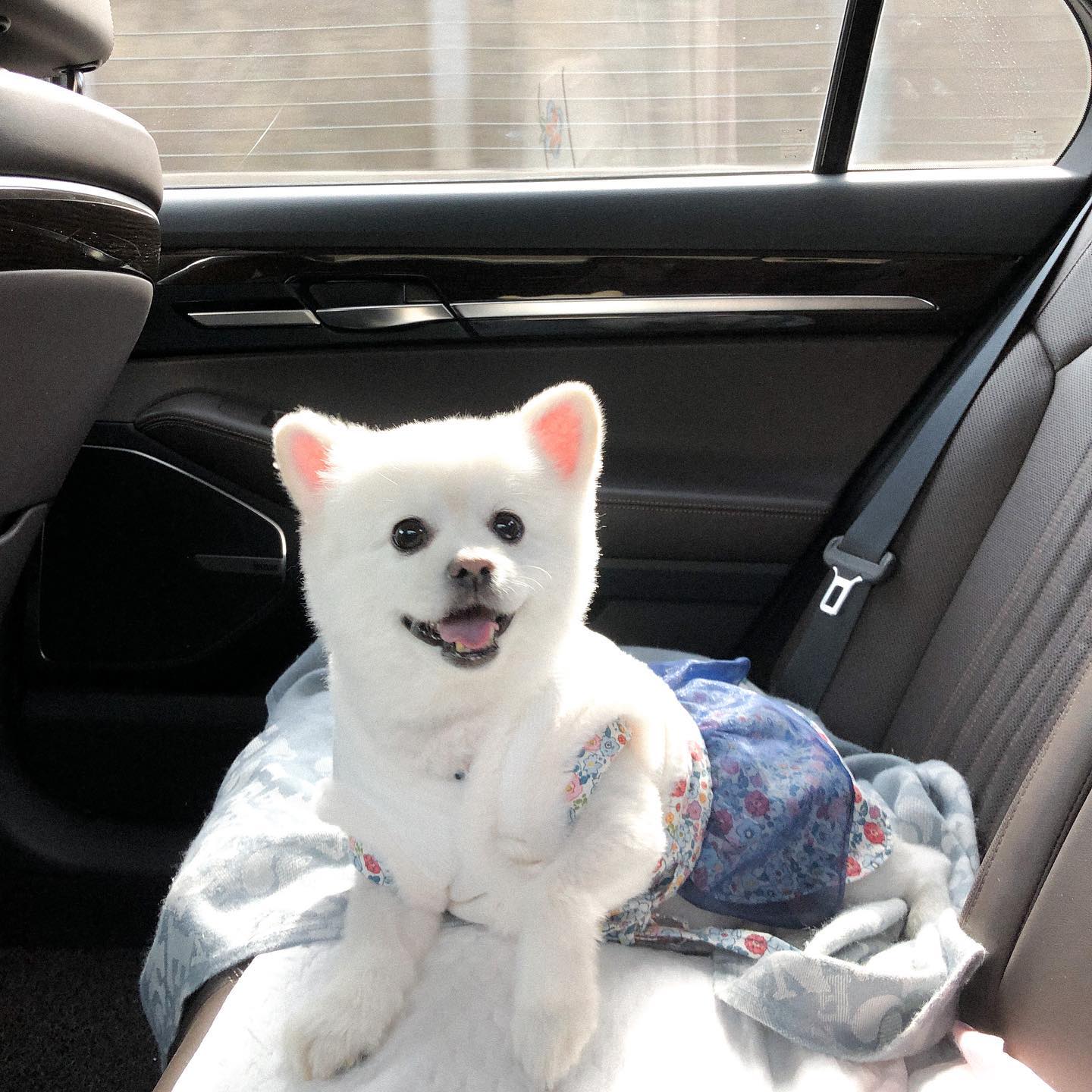 애두라 나 권두부는 상남잔데 
명절만 되면 누나가 만들어 준 한복 치마 입는다 ㅋ 
올해는 누나가 배자까지 사줬오 😬