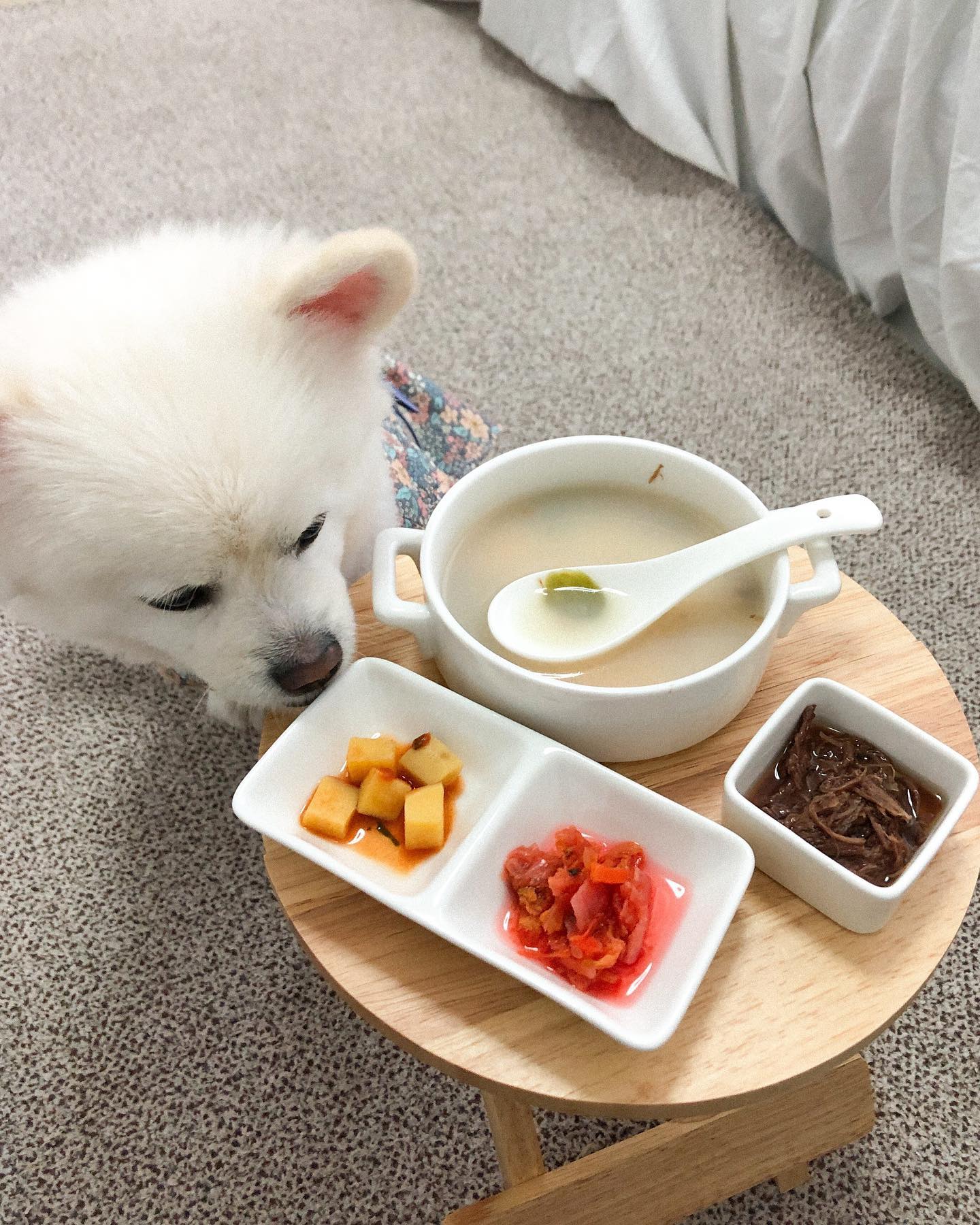 한 그릇 뚝 딱!🤍
#댕조림 환장하고, #댕추김치 는 절대 안 먹음😕