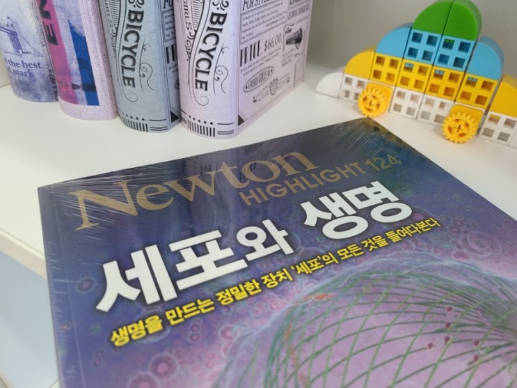 과학잡지뉴턴